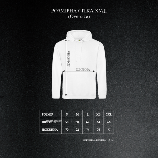 Худи на флисе - Tai Dai Denim BH003 фото